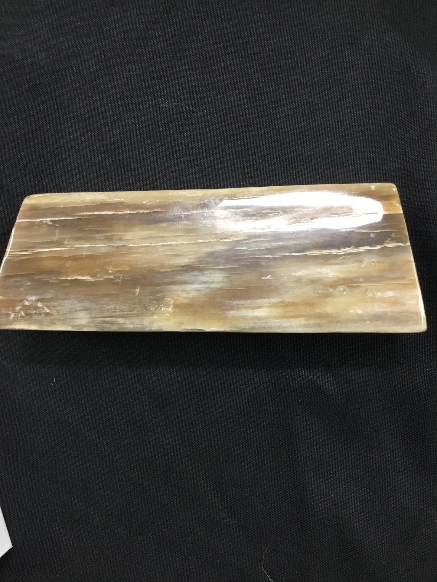 Petrified wood