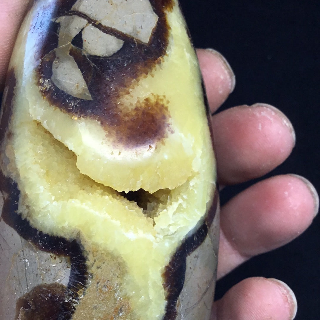 Septarian