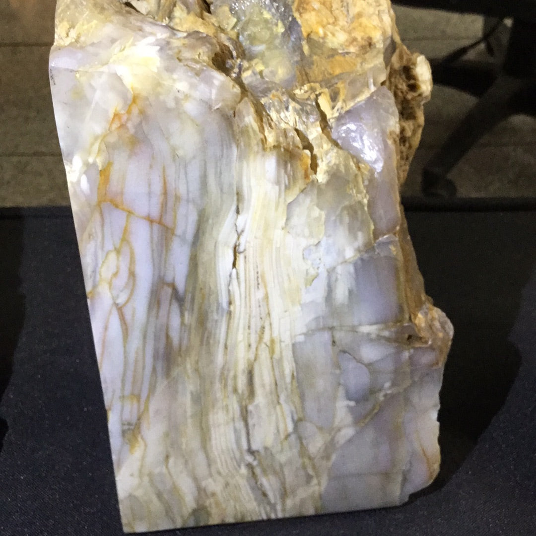 Petrified wood bookends