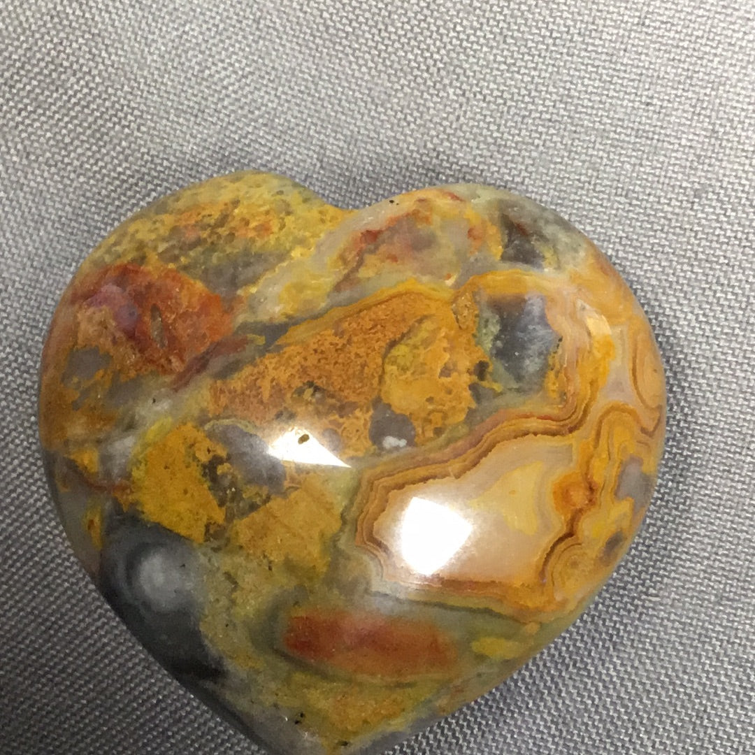 Heart