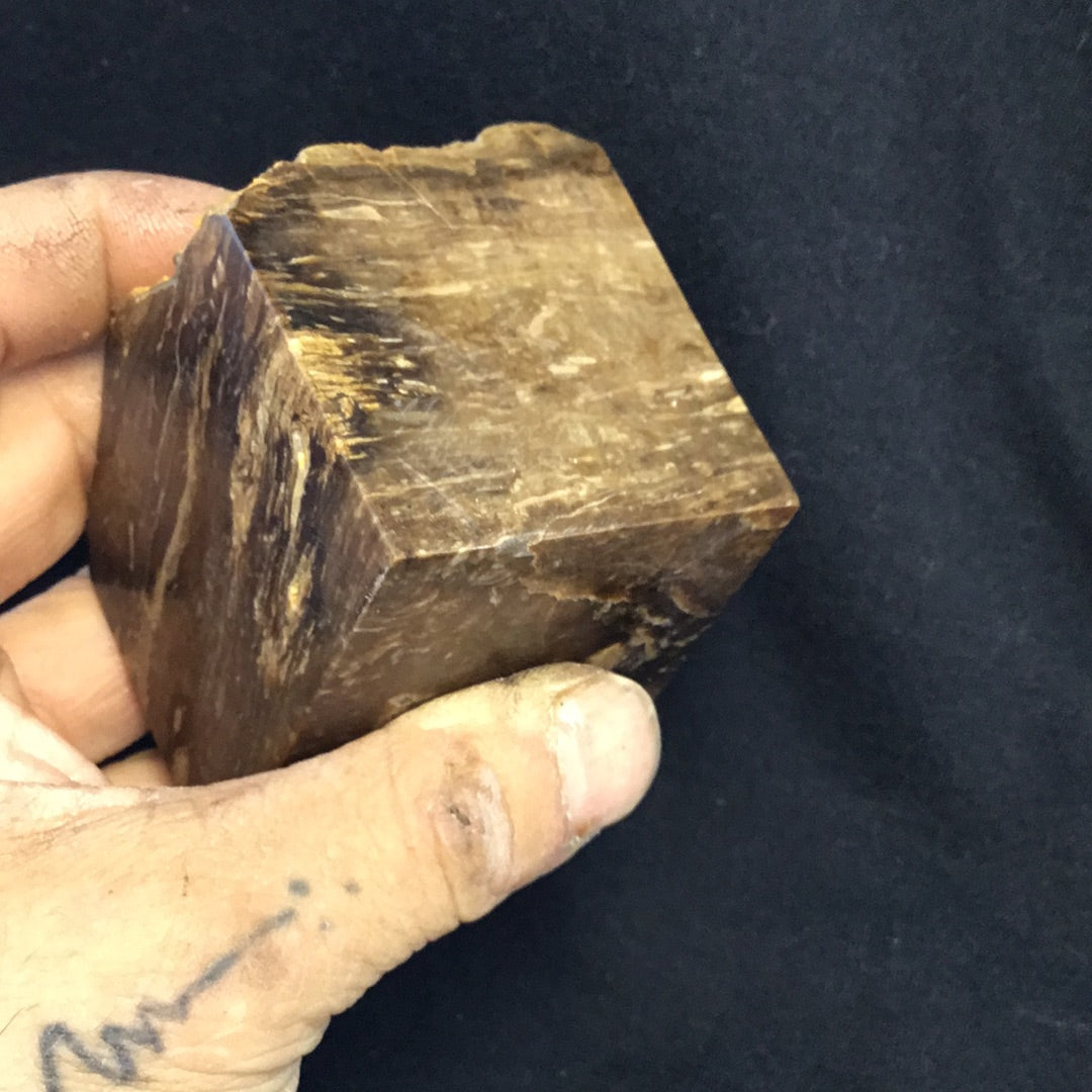 Petrified wood