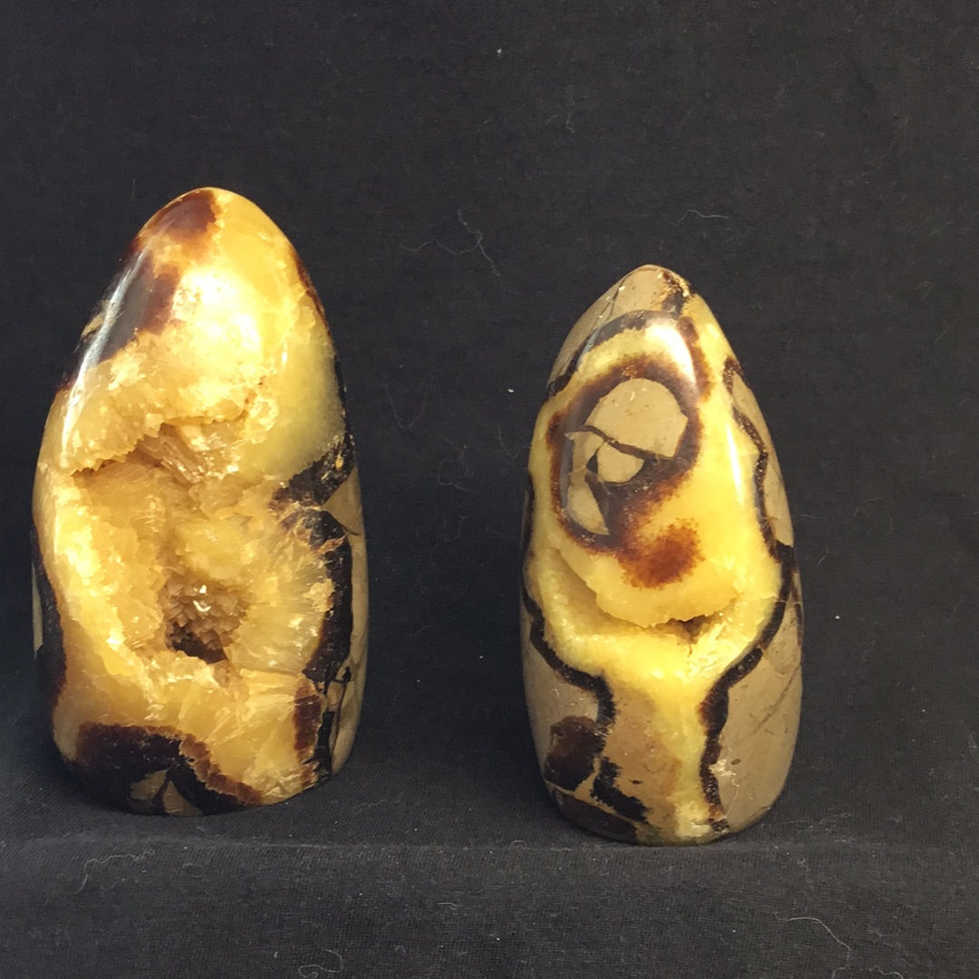 Septarian