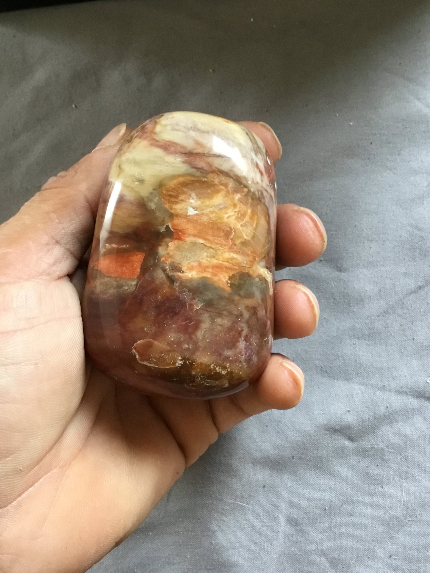 Petrified wood