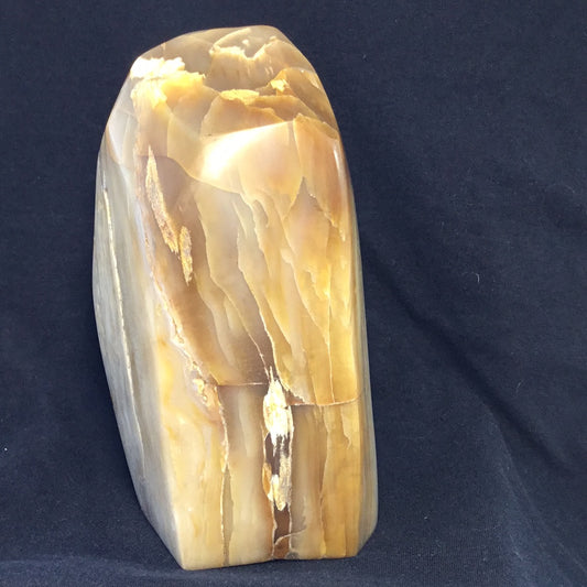 Petrified wood