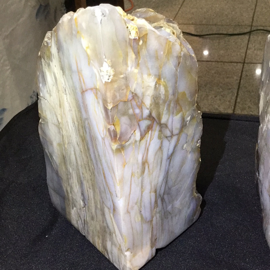 Petrified wood bookends