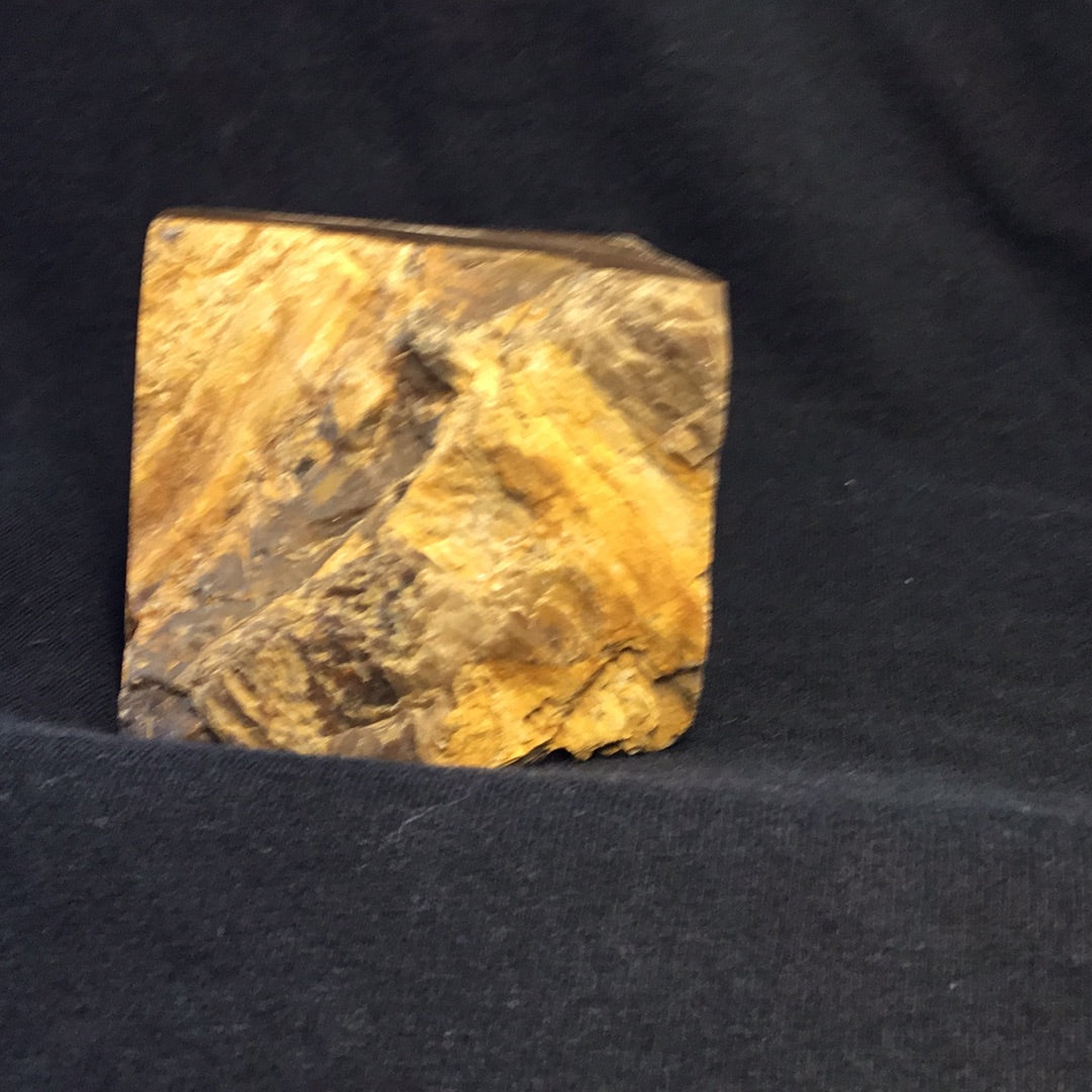 Petrified wood