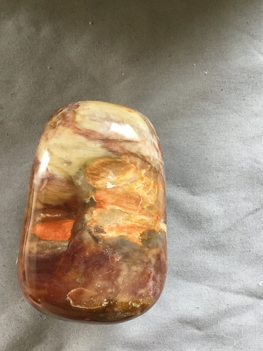 Petrified wood