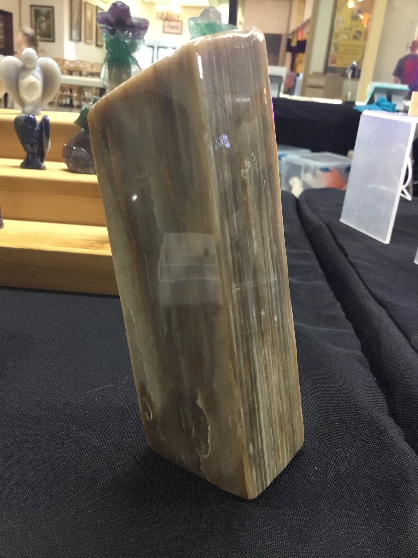 Petrified wood