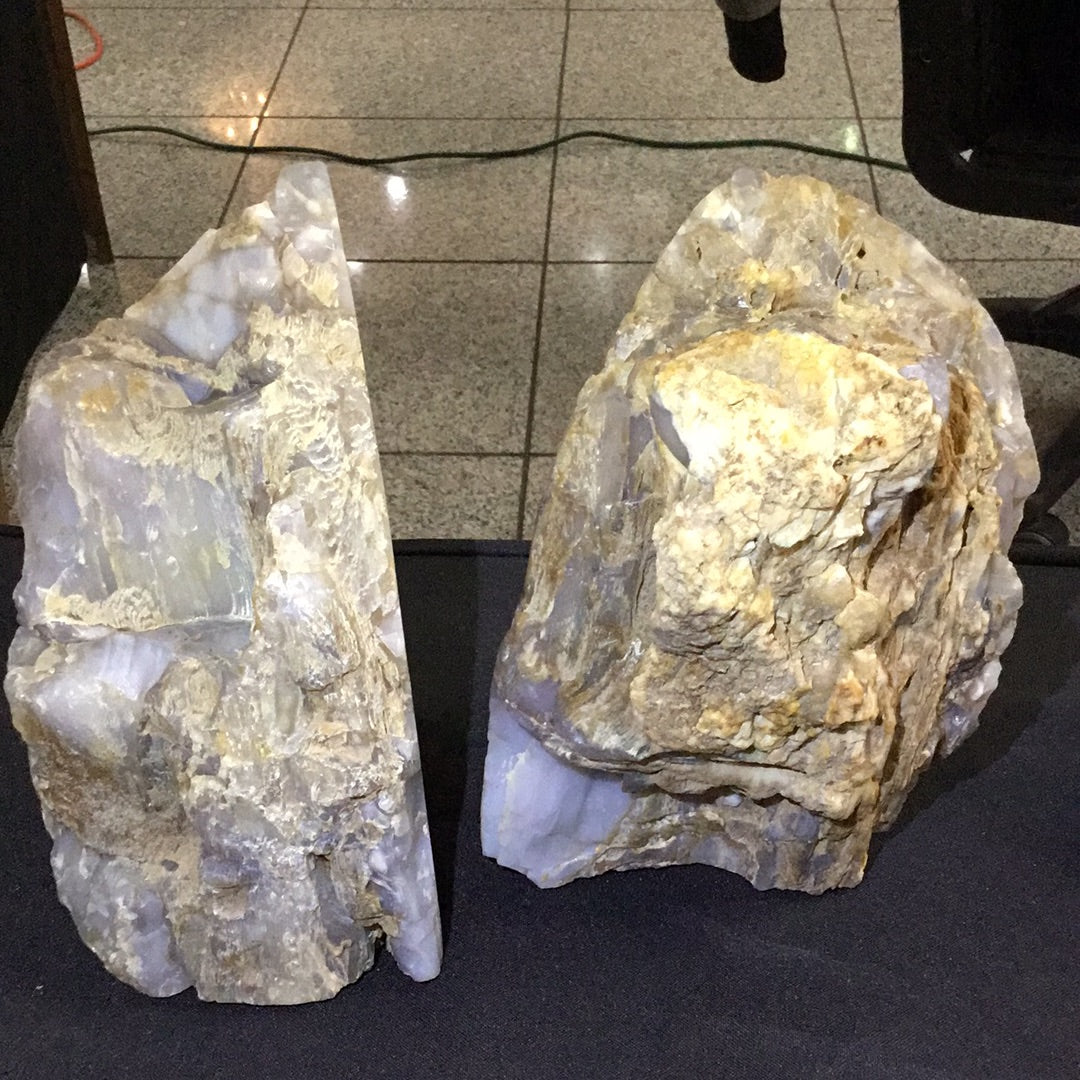 Petrified wood bookends